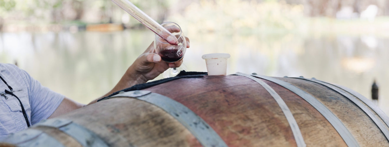 Image for About & Membership