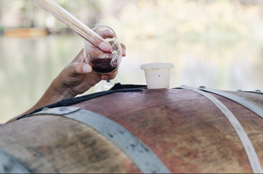 0W6A2431 e1512671607744