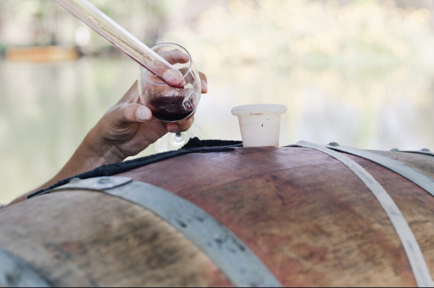 0W6A2431 e1512671607744